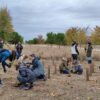 Aedas Homes planta un árbol por cada vivienda entregada desde 2020